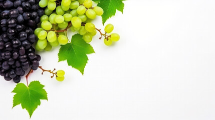 Ripe grapes and vine green leaves on a white background