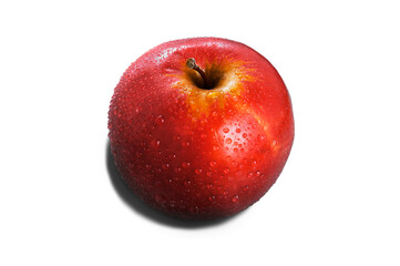 One red wet whole ripe apple on a transparent background.