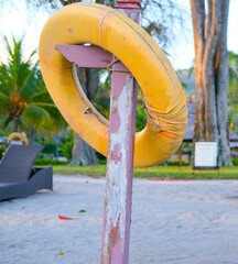 yellow life buoy, life buoy on the beach, life ring on the beach, life buoy in the park, beach...