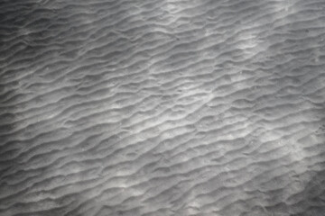 Underwater marine life, sandy sea bottom