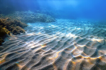Underwater Scene, fish Underwater Life