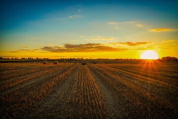 sunset over the field