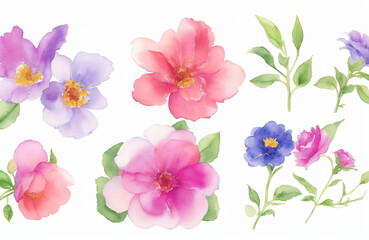 Fototapeta na wymiar Collection set of watercolor flowers isolated on white background