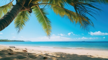 Fototapeta na wymiar beach with palm trees. Generative AI