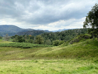 A view of Tarn Hows in the Lake District