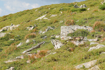 Mountain landscape, stones among the grass. Carpathian mountains of Ukraine. The concept of tourism and sports pastime. Nature