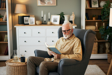 Elderly man sitting in armchair and reading a book at home