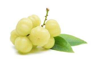 fresh organic sour gooseberry laying on white background small gooseberry Contains antioxidants to...