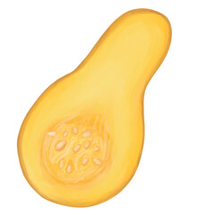 Butternut