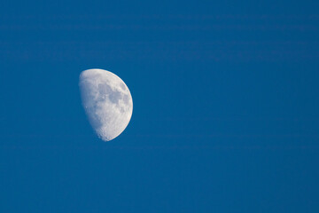 Obraz premium Half moon in the afternoon blue sky