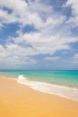 Fototapeta na wymiar fuerteventura, canarias, beach with sky and sand