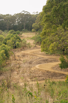 downhill mountain biking