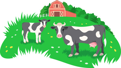 Black and white cow with a little calf grazing in the green meadow. Red farm barn in the distance. Free range cattle, eco farming concept. Simple flat stylized rural illustration