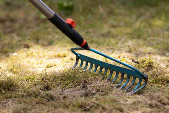 Garden care - raking the grass with tools