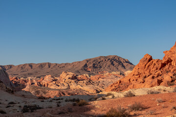 Fototapeta na wymiar Scenic view of striated red and white Aztek sandstone rock formations in Valley of Fire State Park in Mojave desert, Nevada, USA. Hot temperature in arid landscape on clear summer day. Rainbow vista