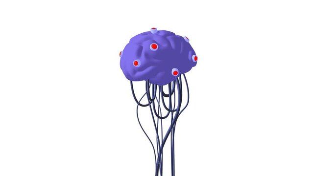 Cyber brain wired neural network. Robotic eternal organ. Cyborg robot brain rotate 3d render endless loop. 4K FullHD and HD render footage animation on white