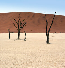 View of deadvlei desert