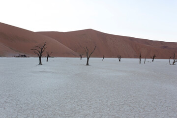 View of deadvlei desert