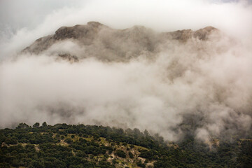 Fototapeta na wymiar Nebelwolken im Tramuntana-Gebirge, Mallorca,