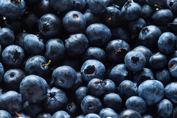 Fresh blueberry berries background pattern close up, top view