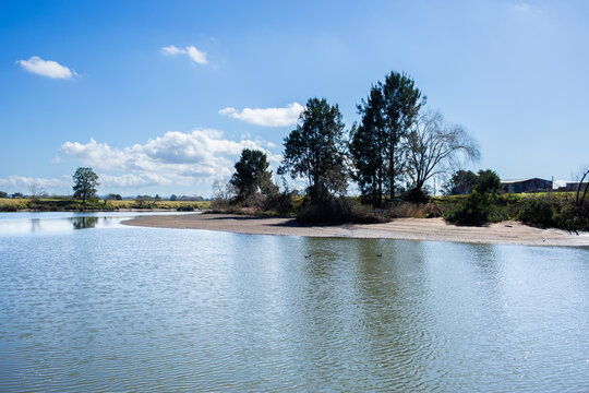 Hunter river in Morpeth sparkling blue in midday sunlight with duck
