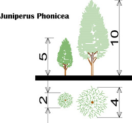 Vector sketch illustration of detailed floor plan and view of types of trees and plants