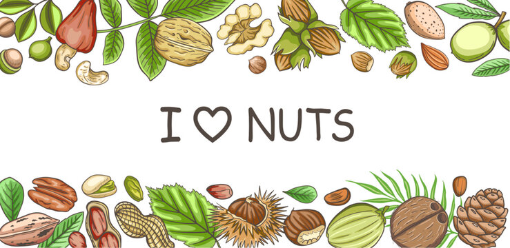 Background with various nuts and leaves.