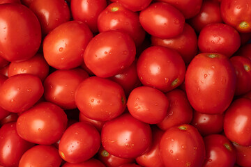 Red tomatoes are laid out on the table