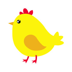 Cute Chick Illustration
