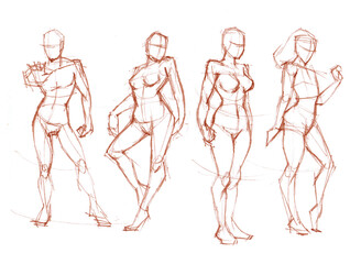 body anatomy pencil drawing for illustration decoration card study