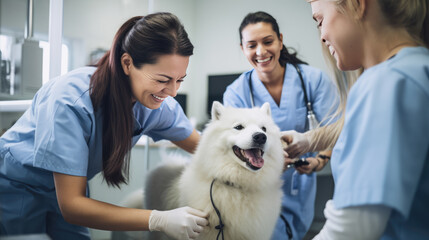 Group of Veterinarians examines the dog at the clinic. Created with Generative AI technology.