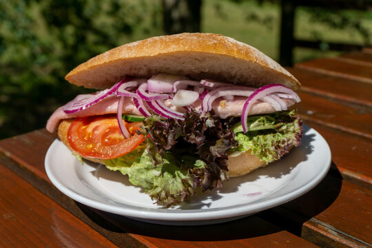 A herring Fischbr&ouml;tchen (fish roll). This is a German sandwich made with fish and other components, such as fresh white or dried onions, gherkins and remoulade sauce. Very popular in northern Germany.