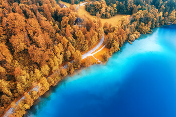 Aerial view of road near blue lake, red forest at sunrise in autumn. Bled lake, Slovenia. Travel....