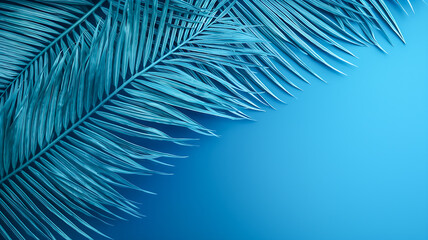 Obraz premium Beautiful blue color flower background