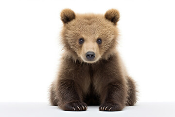Fototapeta premium cute little bear isolated on white background