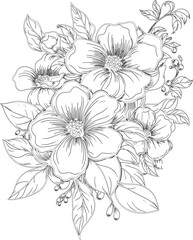 coloring pages , animal coloring paages, mandala coloring pages 