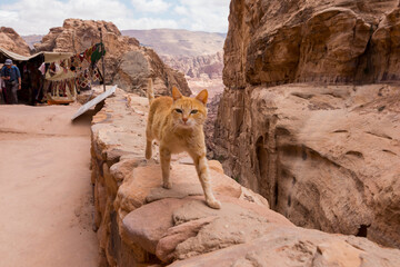 Petra, ancient city in the desert