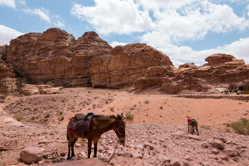 Petra, ancient city in the desert