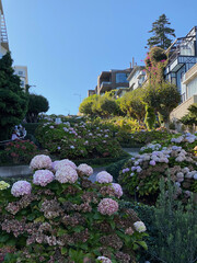 Lombard Street