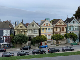 painted Ladies