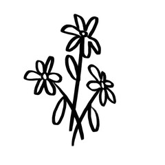 flower minimal line hand-written cartoon design cute doodle element © PCSK STUDIO DOODLE