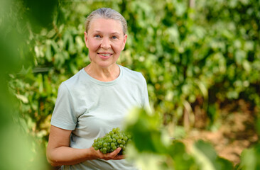 woman with bunch of grapes in plantation