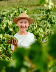 woman with bunch of grapes in plantation