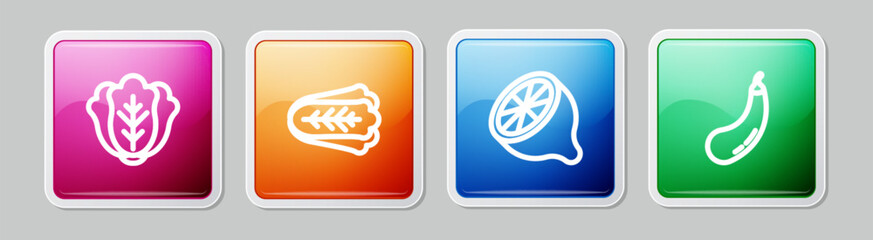 Set line Cabbage, , Lemon and Eggplant. Colorful square button. Vector