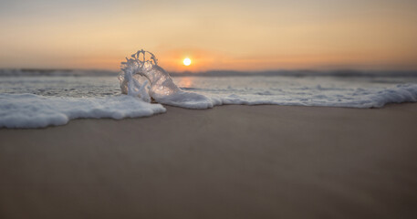 Am Strand wird eine Glaskugel von einer Welle im Meer umspült im Hintergrund der Sonnenuntergang