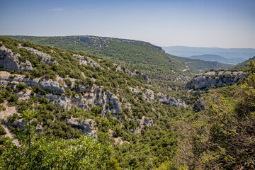 La garrigue en provence