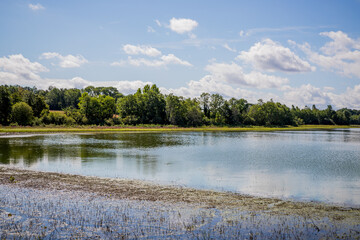 étang des Dombes à Versailleux