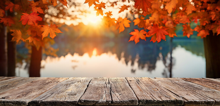 landscape with fall leaves and old wooden board, autumn natural background in forest lake
