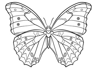 Butterfly outline illustration isolated, coloring book page © Iuliia