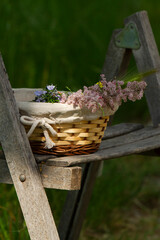 cestino con fiori di campo si sedia vecchia